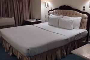 客室 & スイート