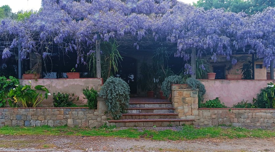 Ristorante situato a 2km dal centro abitato dove passare una giornata lontano rilassante, lontano dalla frenesia della città🌆 immersi tra le colline madonite 🖼️ il profumo del glicine💐🌿 e i sapori della nostra terra🥘  Per info e prenotazioni 📱 3383605389 📞 0921676047  