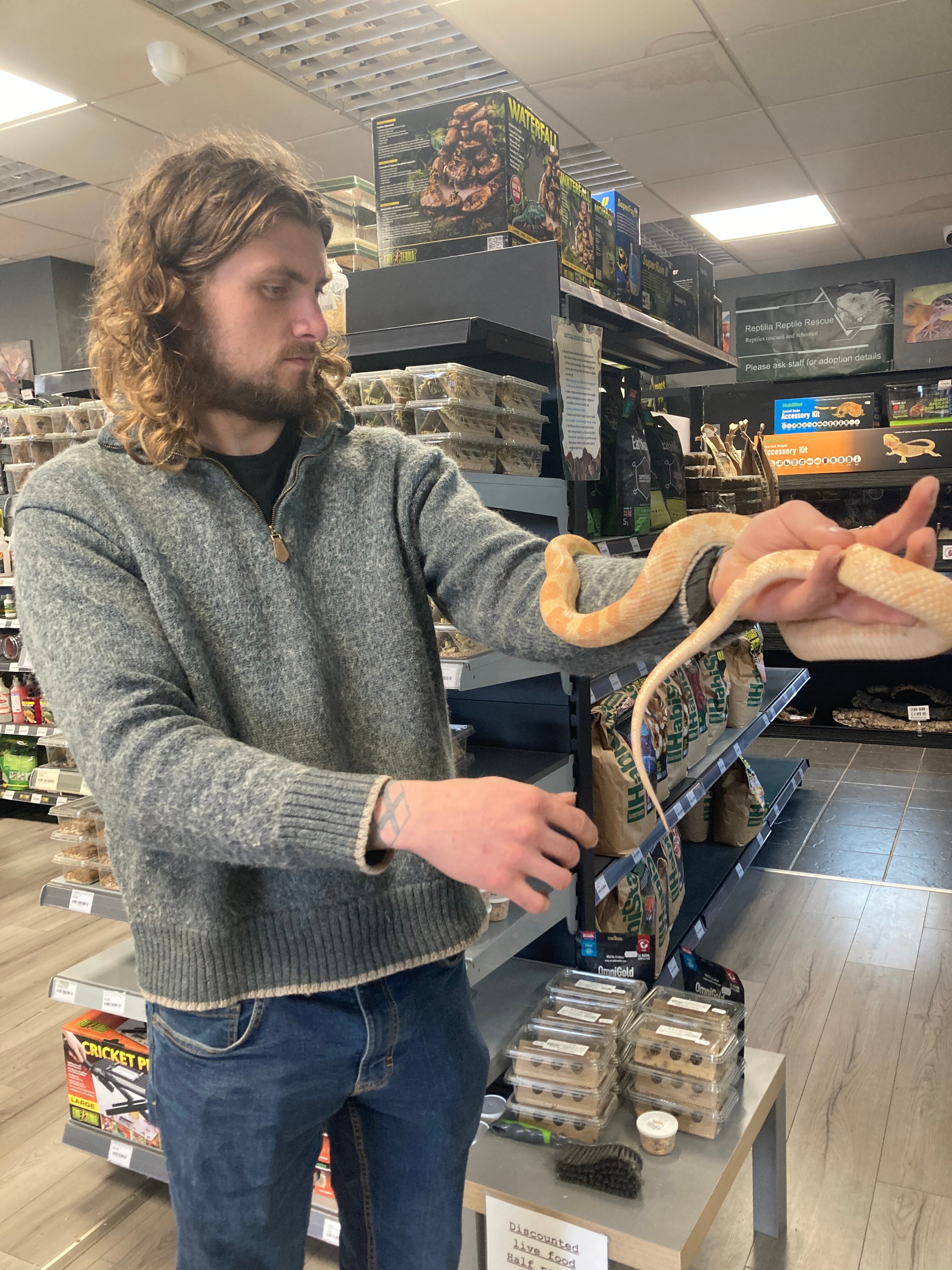 Reptilia Reptile Rescue All You Need to Know BEFORE You Go 2024