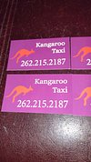 GREEN BAY - Wisconsin Dells Kangaroo taxi and Party Buses