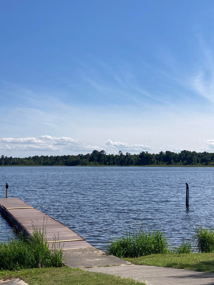 Escape to Tranquility: A Guide to Georgia's Grassy Pond Recreation Area