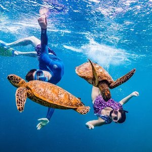 Explore the Cook Islands: Top 5 Must Things to Do and See - Bank of Hawaii