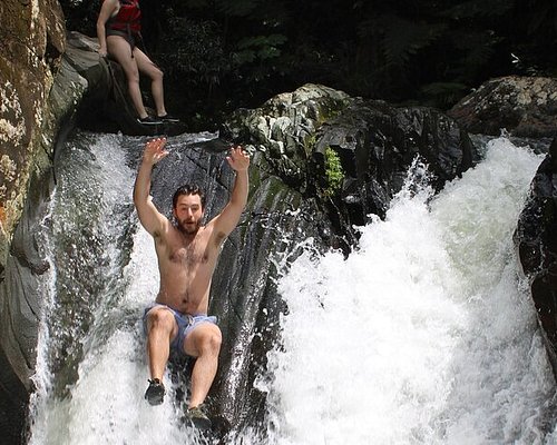 el yunque tours tripadvisor