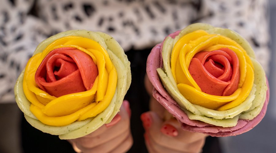 Colorful roses