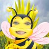 J4Bee