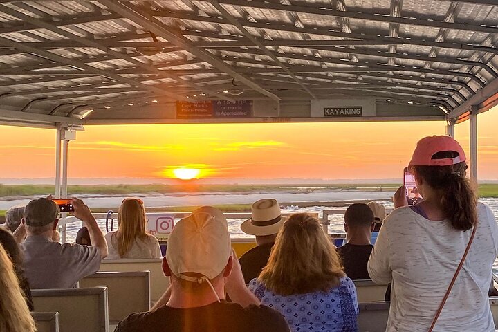 2024 Sunset Wildlife Cruise Along Assateague Chincoteague Island   Caption 