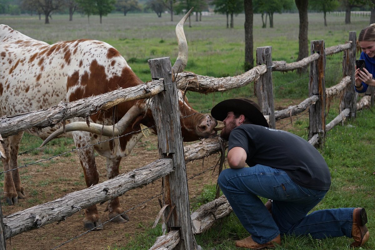 WILDCATTER RANCH (Graham) - отзывы, фото и сравнение цен - Tripadvisor