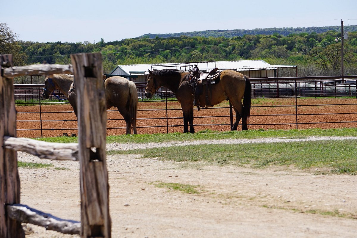 WILDCATTER RANCH (Graham) - отзывы, фото и сравнение цен - Tripadvisor