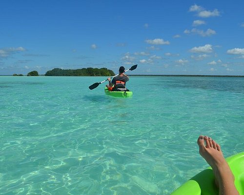 costa maya tours cruise passengers