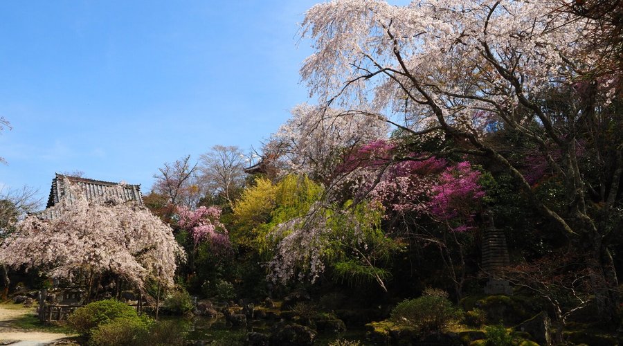 群芳園