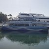 Harbor Breeze Cruises