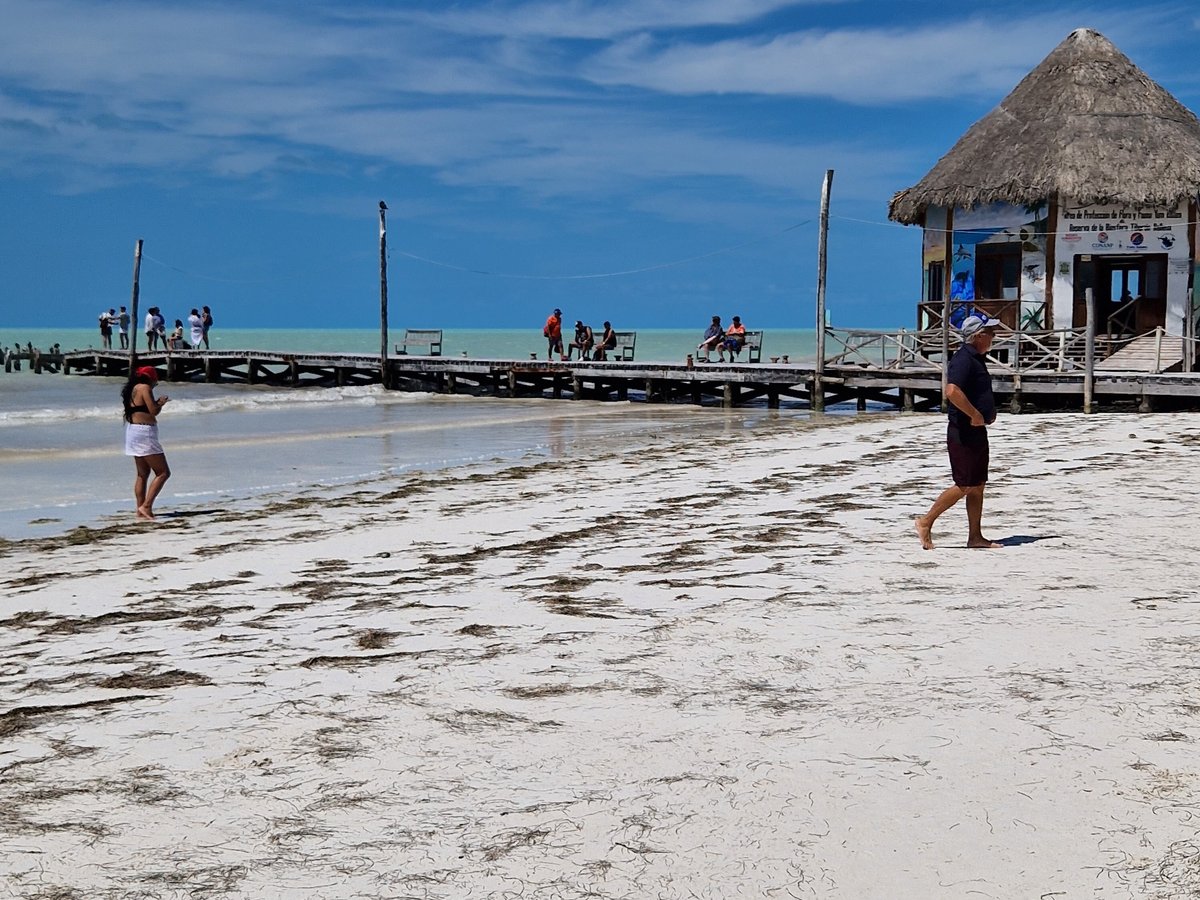 Paseo Tours (Playa del Carmen) - All You Need to Know BEFORE You Go