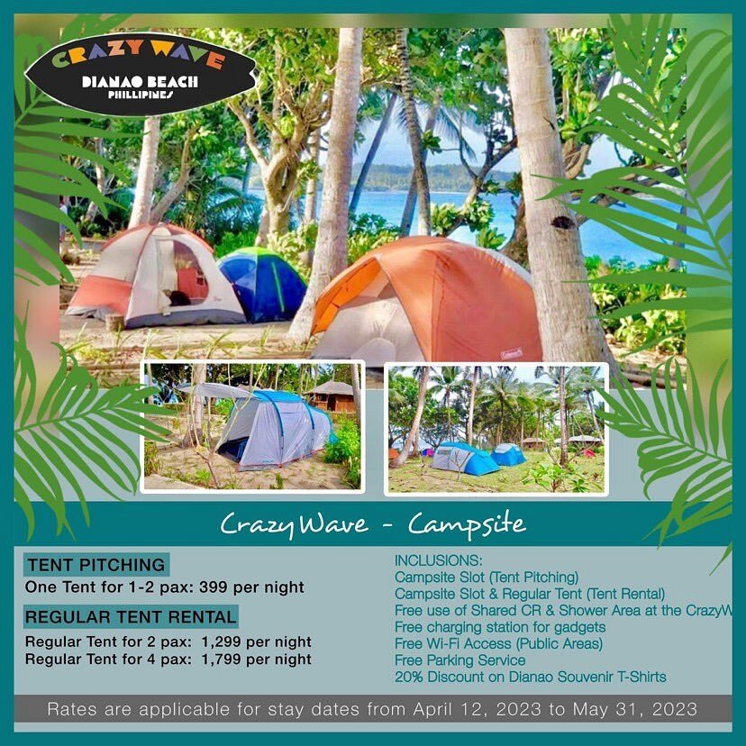 CRAZY WAVE - Campground Reviews (Casiguran, Philippines)