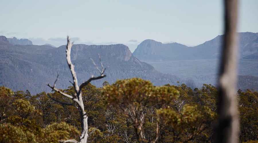 Central Highlands