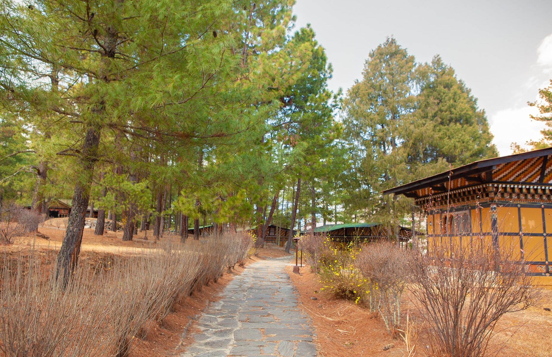 Hotel Olathang by null