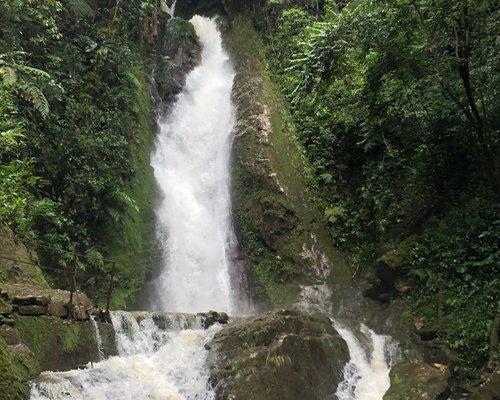 THE BEST Caranavi Waterfalls (Updated 2024) - Tripadvisor