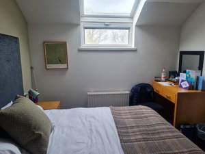 Room & Suite