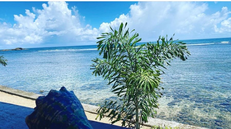 Right on the ocean 