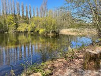 Brandon Reach  Warwickshire Wildlife Trust