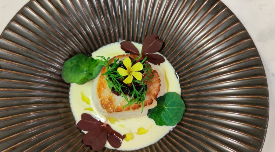 Scallop