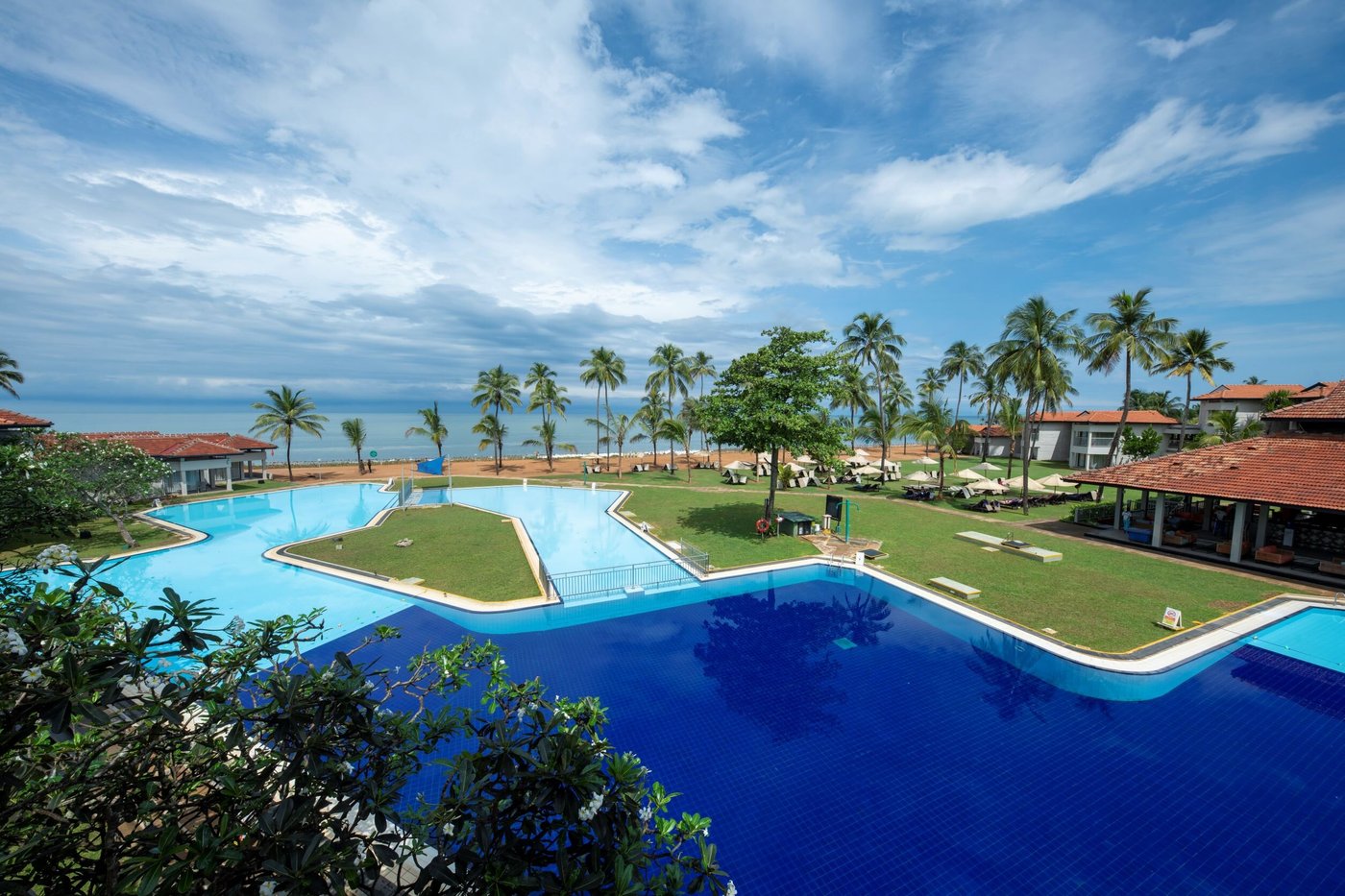 dolphin planet hotel отзывы