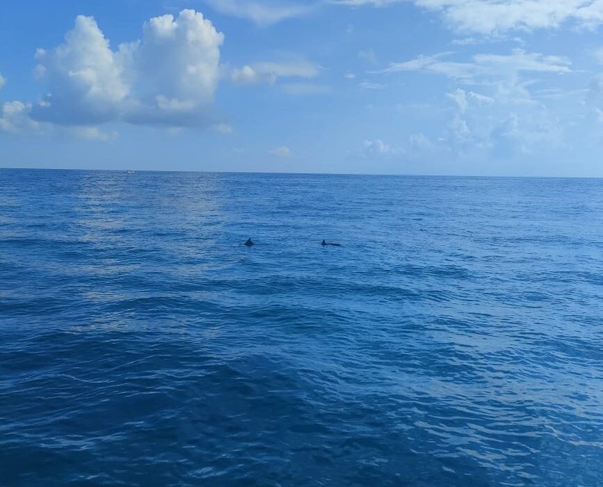 SCUBA JOURNEY (Ukulhas) - Qué SABER antes de ir (2025)