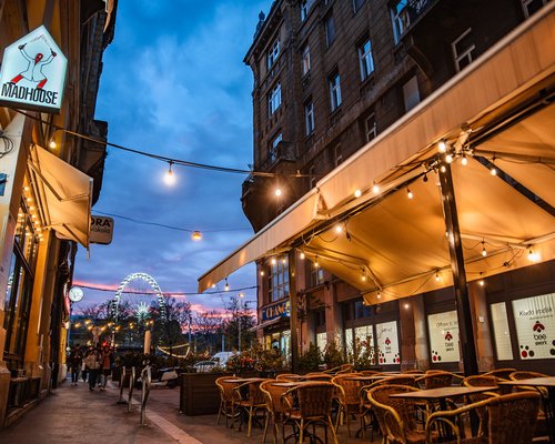 Madhouse Bistro & Craft Beer Bar