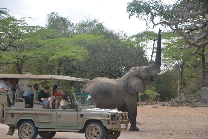 2024 (Zanzibar City) 2 Days Private Tour in Zanzibar to Nyerere Park by ...