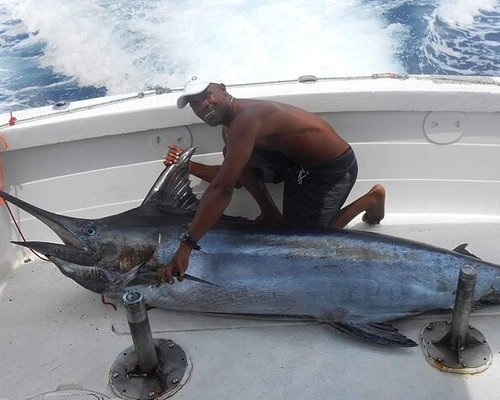 Punta Cana Offshore Deep Sea Fishing Charter