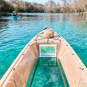 Ginnie Springs - All You Need to Know BEFORE You Go (2024)