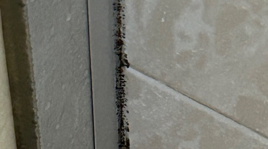 Mould in the bathroom. 