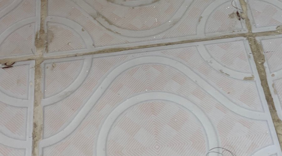 Dirty bathroom floor. Hair from previous quests still lying around. Pretty nasty.