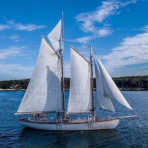 schooner yacht heron tours