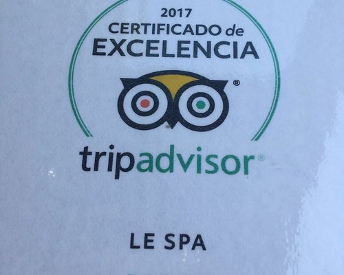 BICHOS, Sayulita - Menu, Prices & Restaurant Reviews - Tripadvisor