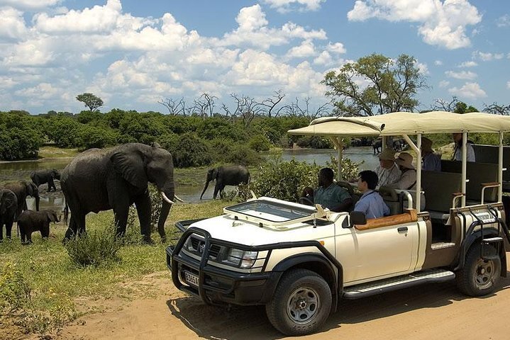 2024 chobe Day trip provided by Arnolubi Safaris & Tours