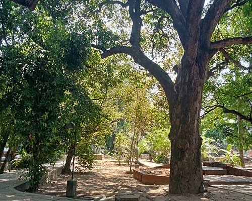 kozhikode tourist park