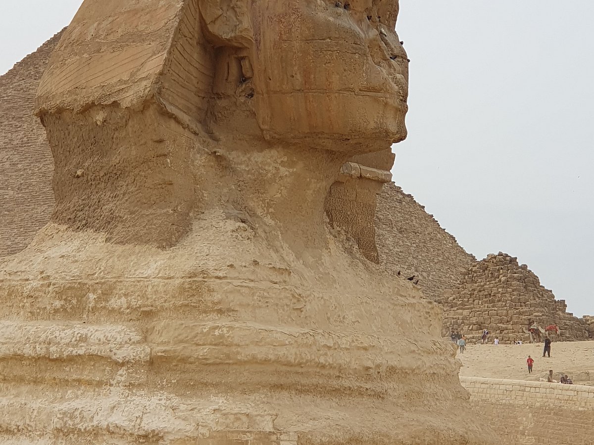 MTS Egypt Tours, Шарм-эль-Шейх: лучшие советы перед посещением - Tripadvisor