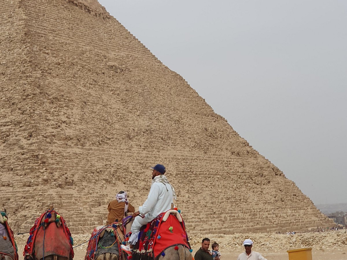 MTS Egypt Tours, Шарм-эль-Шейх: лучшие советы перед посещением - Tripadvisor