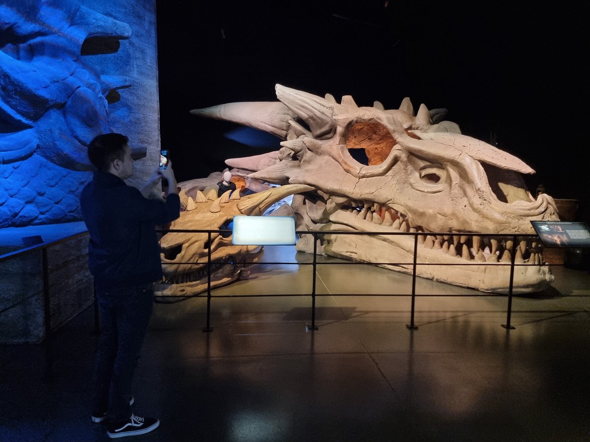 Game of Thrones Studio Tour (Banbridge) - All You Need to Know BEFORE You Go