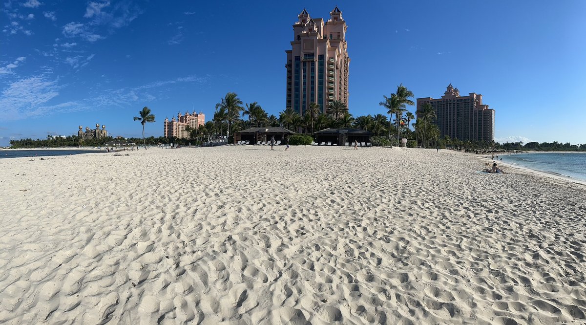 THE COVE AT ATLANTIS - Updated 2024 Prices & Resort Reviews (Bahamas ...