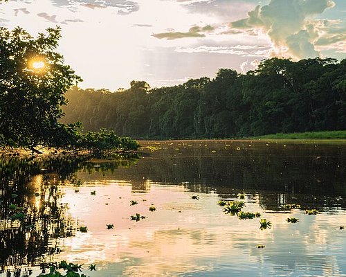 amazon tours from manaus