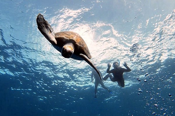 T3: superb swimming training facility - Tenerife Top Training, La Caleta  Traveller Reviews - Tripadvisor