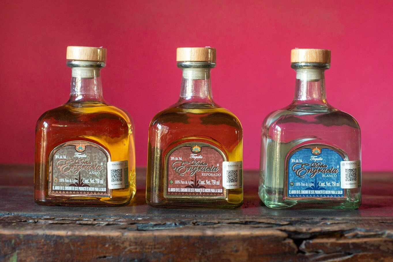 Tequila Tasting Experience - All You Need to Know BEFORE You Go (with ...