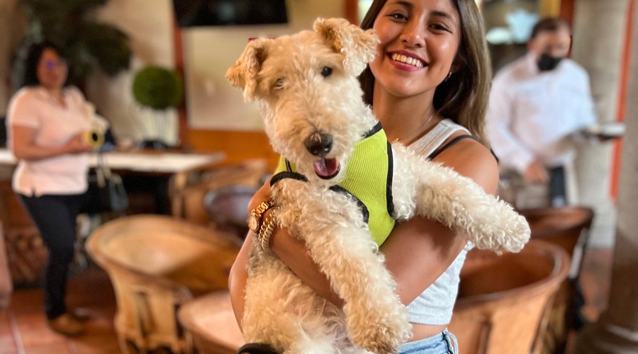 Tenemos un área Pet Friendly · We have a Pet Friendly zone