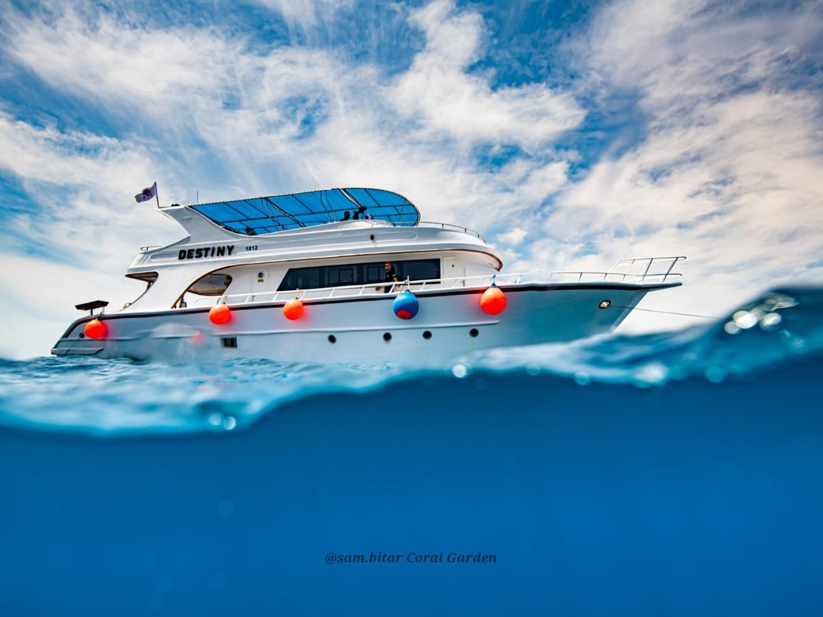 Coral Garden Diving Center, Акаба: лучшие советы перед посещением -  Tripadvisor