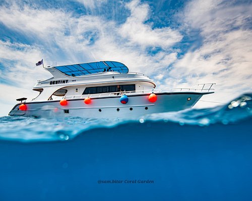 THE 10 BEST Aqaba Boat Hire (Updated 2024) - Tripadvisor