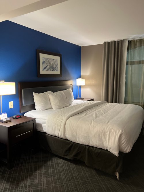 Comfort Inn & Suites Grand Blanc/Flint - hotel rooms