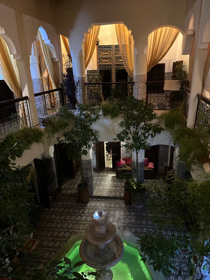 Imagen 4 de Abelia Riad