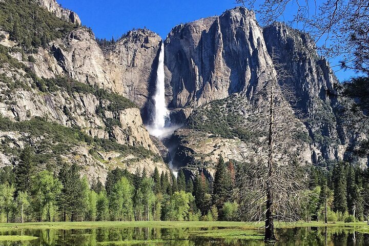 2023 8 Days Tour To Yosemite Sequoia California Coast   Caption 