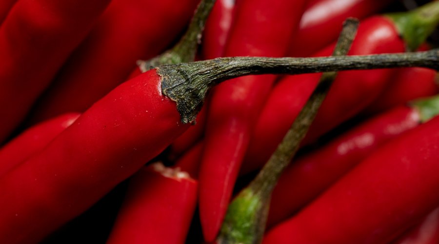 Pepper